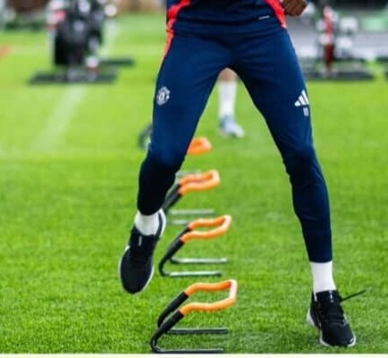 hurdle training